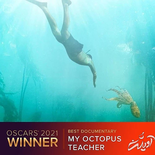 مراسم اسکار ۲۰۲۱ آغاز شد مراسم اسکار ۲۰۲۱ آغاز شد